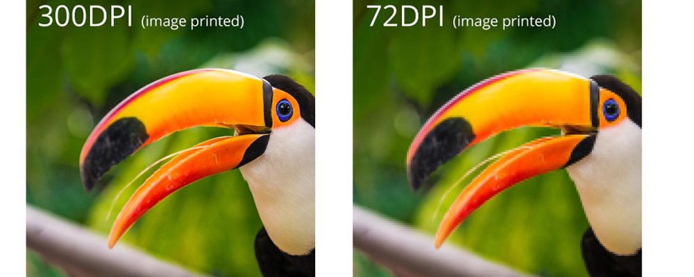 تفاوت DPI پایین و بالا در تصویر